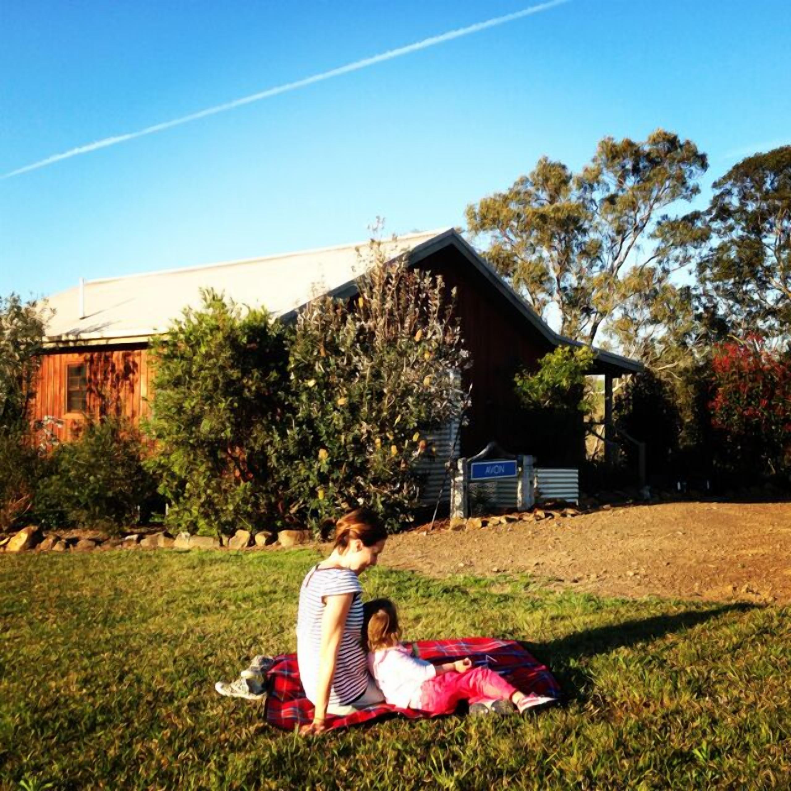 A grassy area with a building in the background.