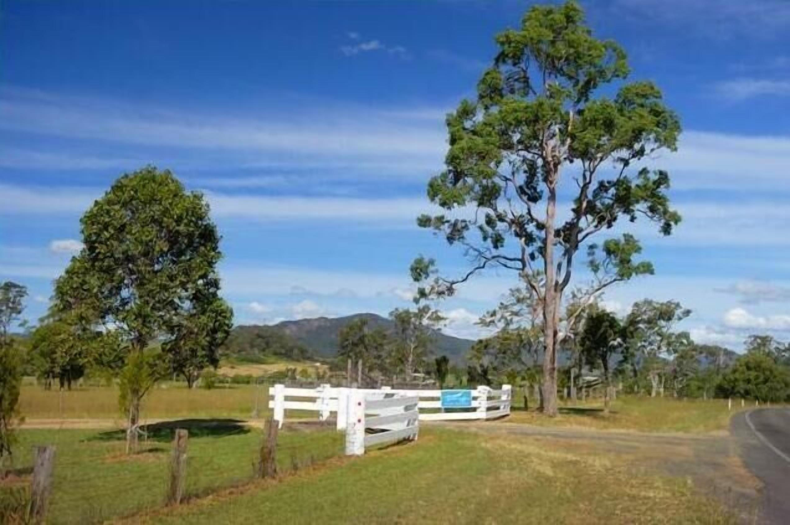 A rural landscape with a white fence, trees, and a road.