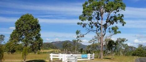 A rural landscape with a white fence, trees, and a road.