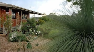 Terras
