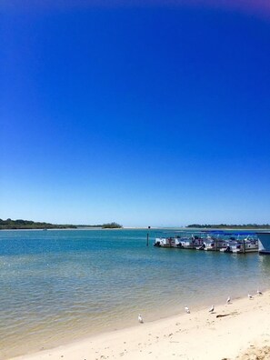Beach - Rimini Holiday Apartments (Noosaville)