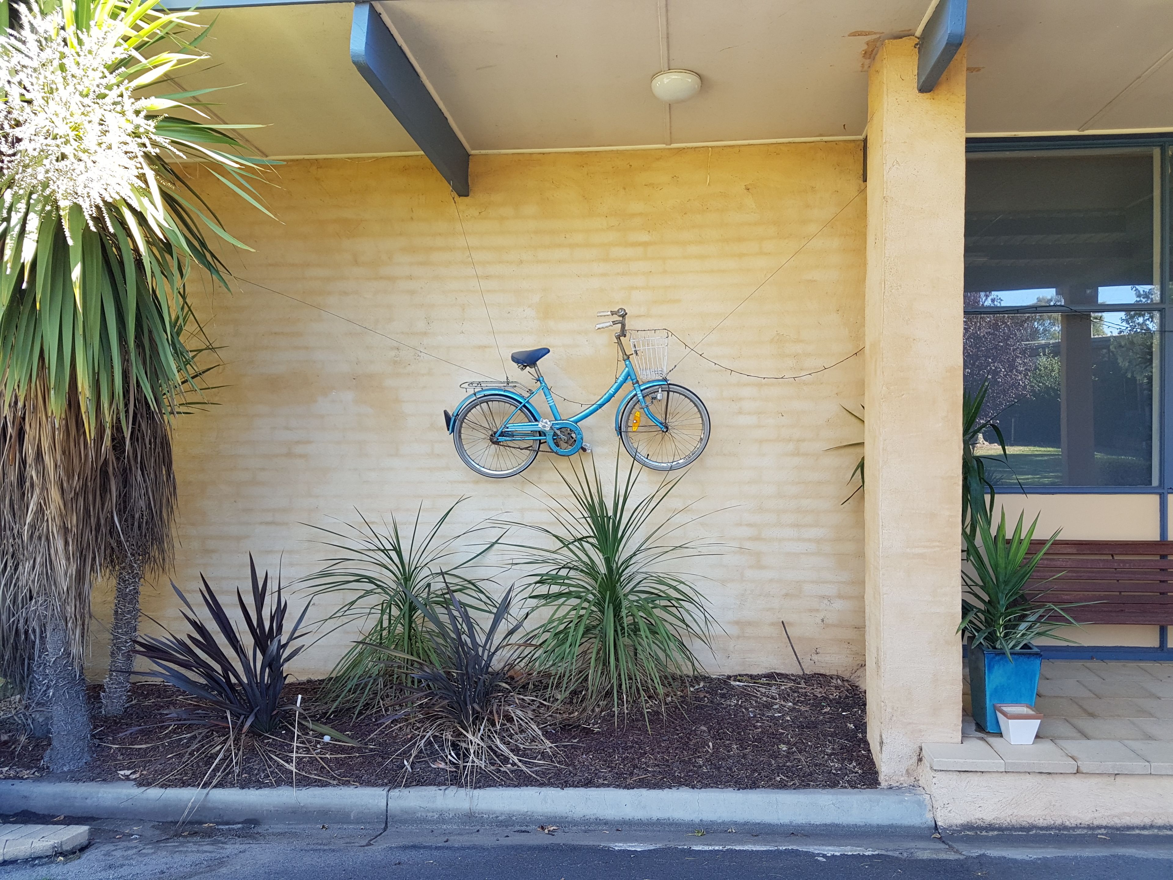 A building entrance with a blue bicycle mounted on the wall, potted plants, and a bench.