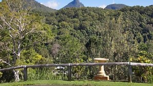 A mountainous landscape with dense forest and a clear sky. - A View of Mt Warning B&B (Dum Dum)