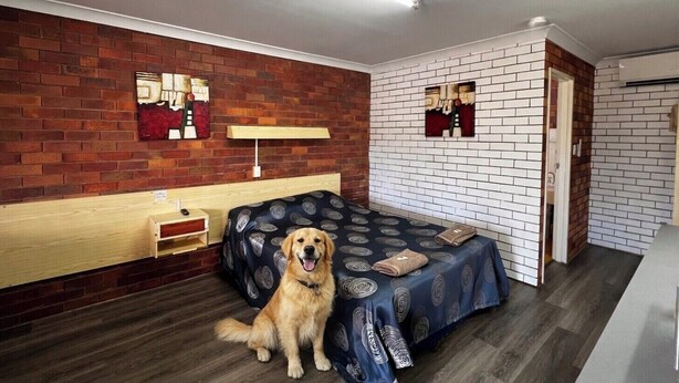 A modern bedroom with a brick wall, a wooden bedside table, a bed with a patterned cover, and a dog sitting on the floor.