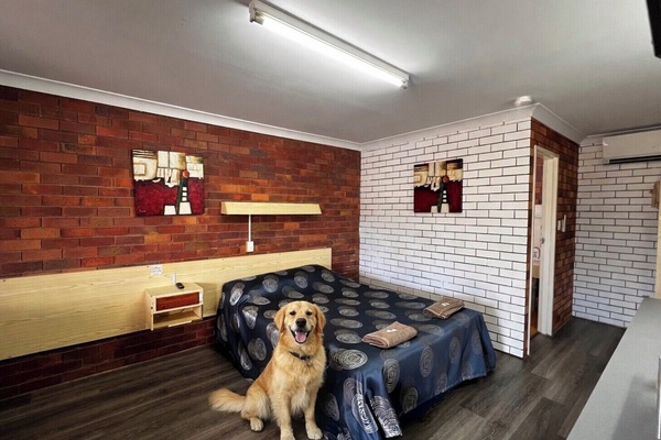 Pet-friendly