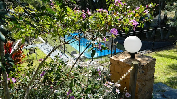 Un jardín con diversas flores y una piscina azul al fondo.