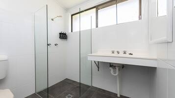 A modern bathroom with a glass-enclosed shower, a white sink with a mirror above, and a toilet.