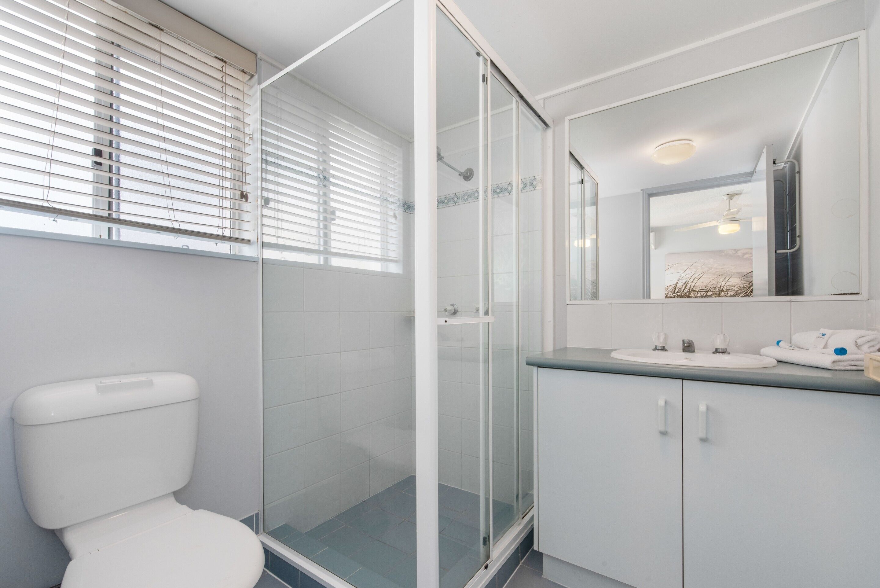 A bathroom with a toilet, a glass-enclosed shower, and a sink with a mirror above it.
