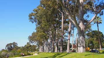 A park with tall trees, a grassy area, and a pathway.