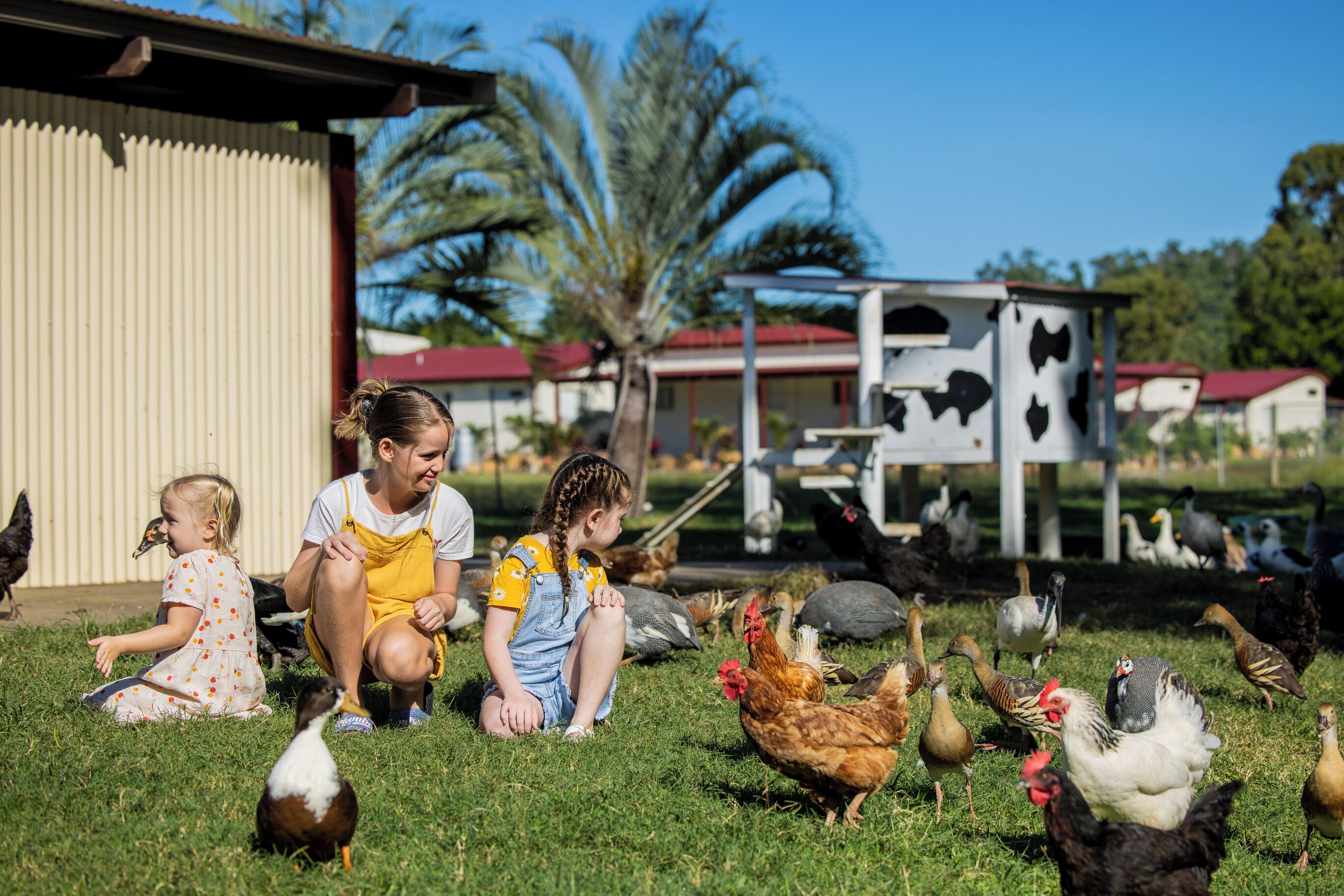 A group of people, including children, interacting with various birds in a grassy outdoor area with a building in the background.