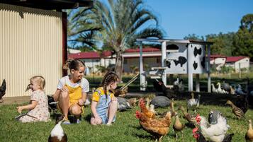 A group of people, including children, interacting with various birds in a grassy outdoor area with a building in the background.