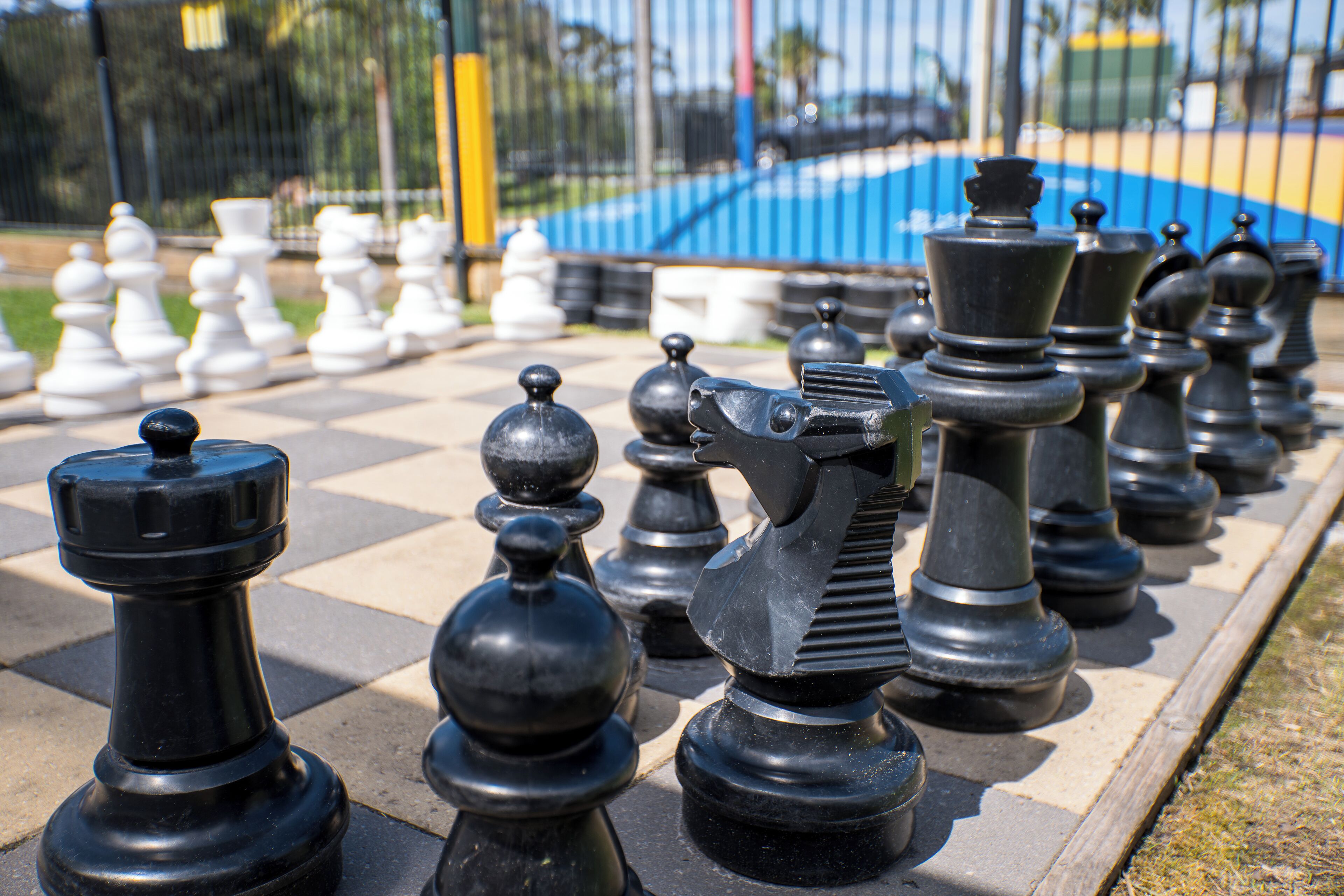 A chessboard with black and white pieces.