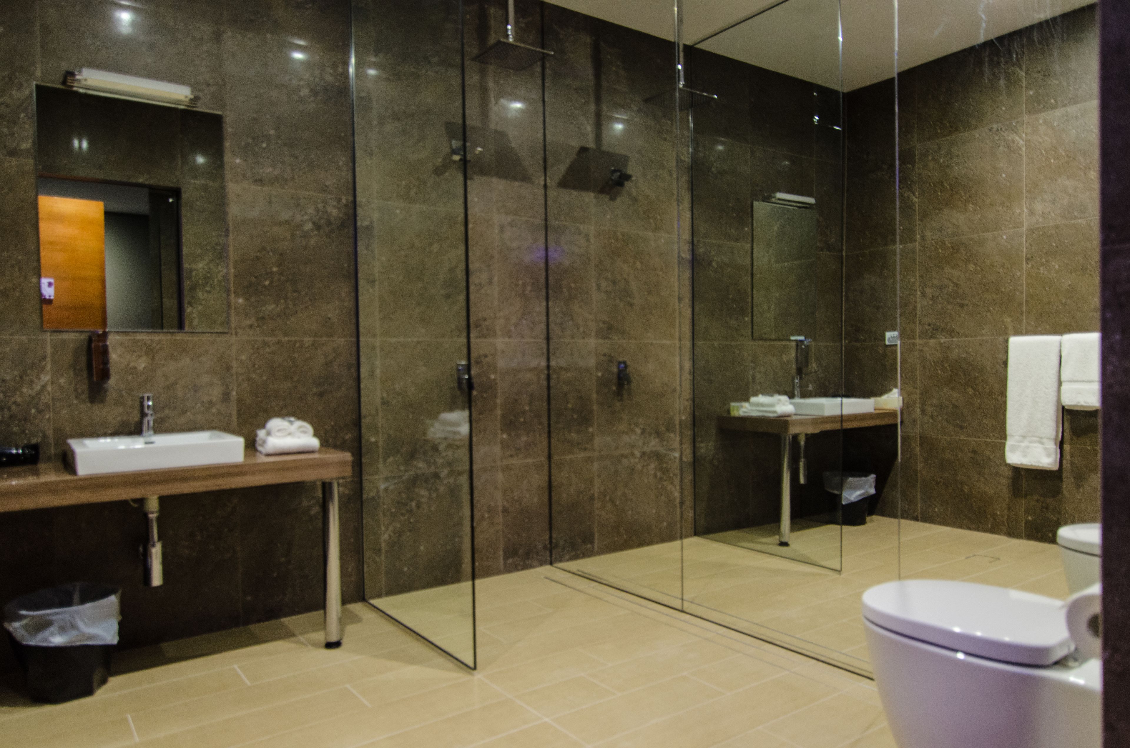 standard room (room 5) | bathroom | hair dryer, towels