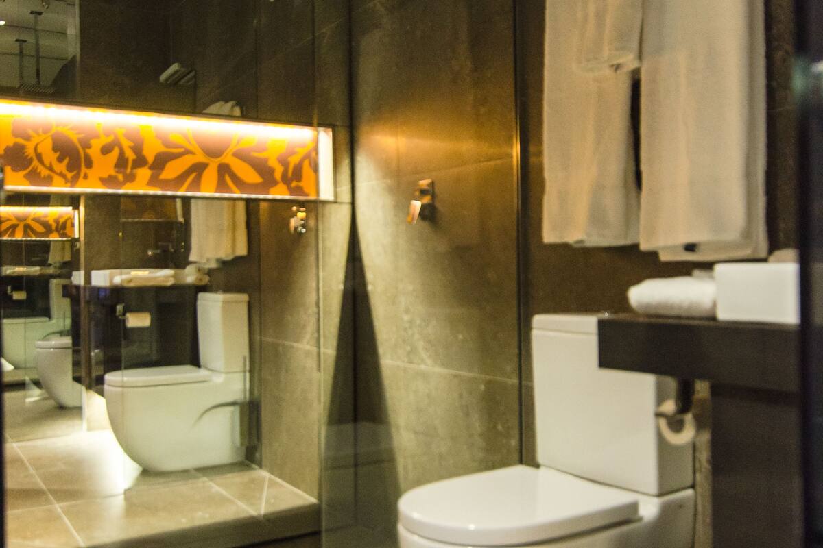 standard room (room 2) | bathroom | hair dryer, towels