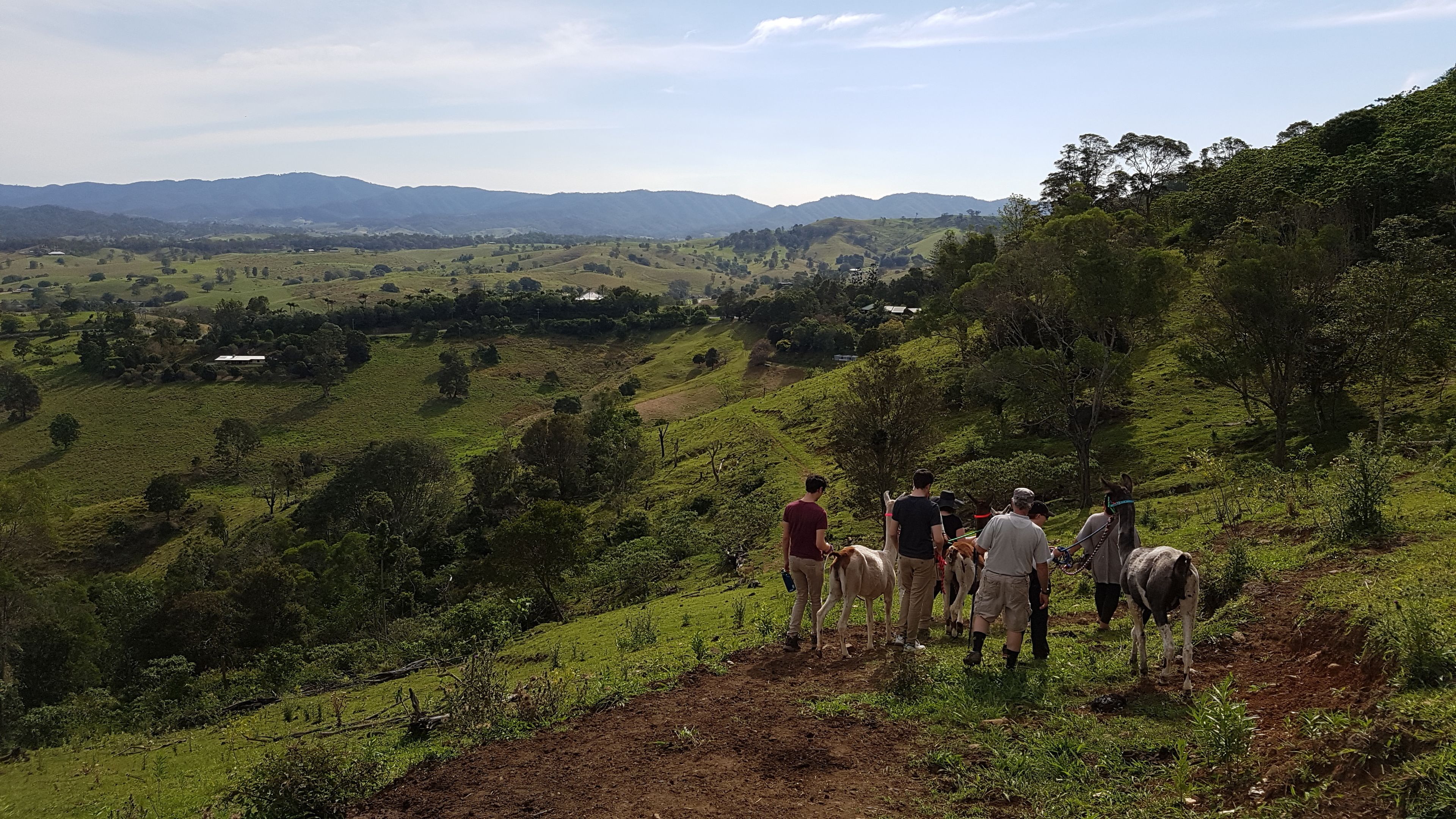 A group of people on a hillside with horses, surrounded by green hills and distant mountains.