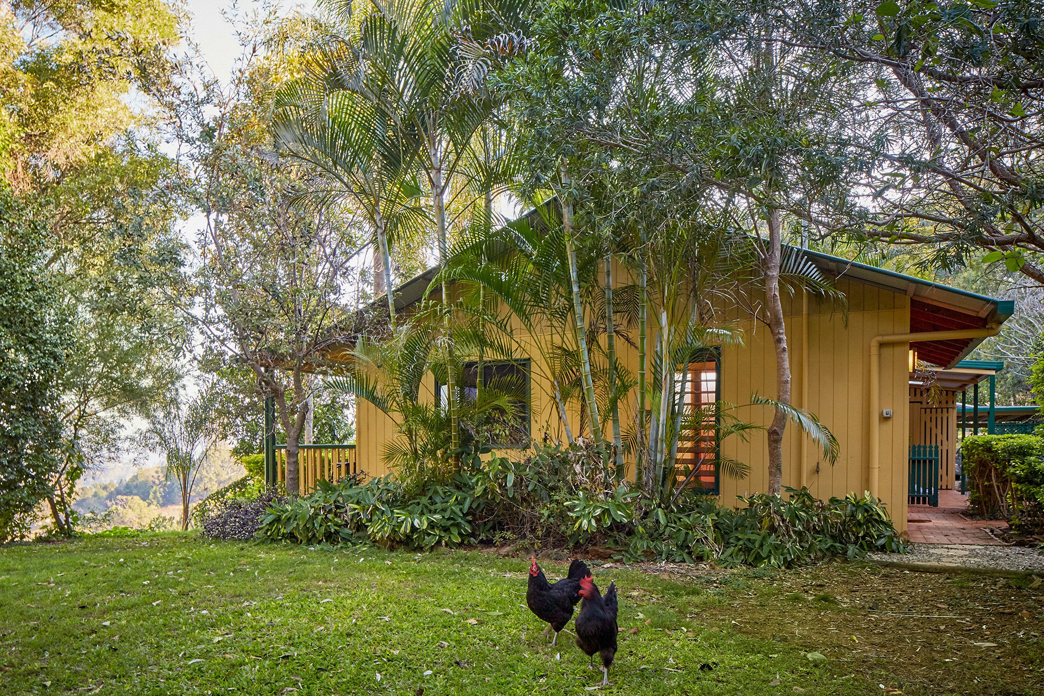 스탠다드 스튜디오, 금연, 간이주방 (Garden Cottage) | 객실에서 보이는 전망