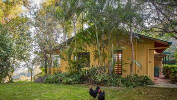 스탠다드 스튜디오, 금연, 간이주방 (Garden Cottage) | 객실에서 보이는 전망