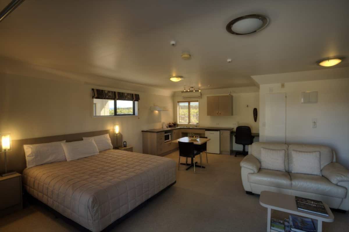 A bedroom with a bed, a desk, a kitchenette, and a sofa.
