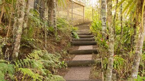 A stone staircase surrounded by dense foliage, leading to a wooden structure.