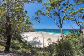 A beach with clear turquoise waters, surrounded by trees and a wooden walkway.