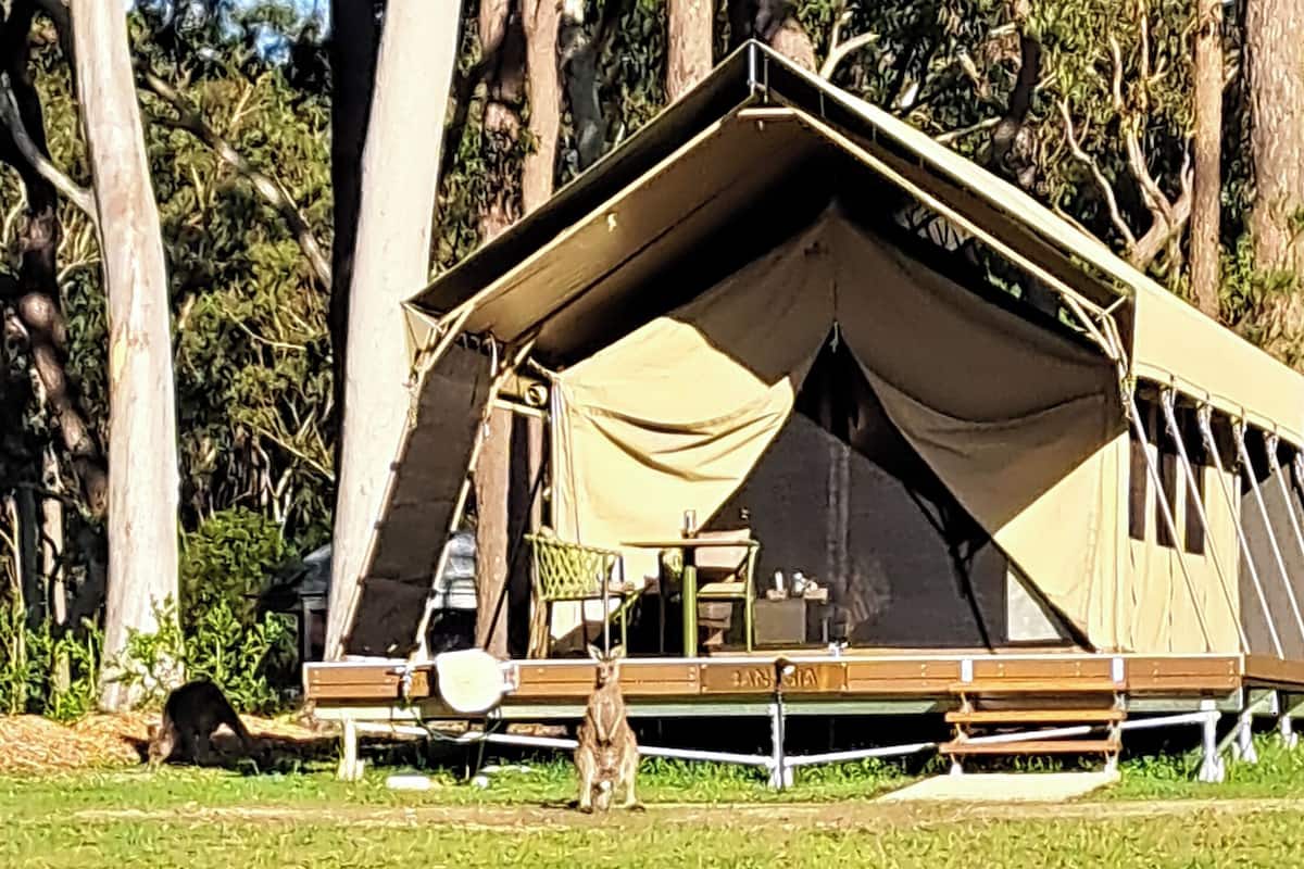 Tienda Deluxe | 1 dormitorio, decoración individual, mobiliario individual