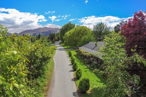 A pathway leading to a building surrounded by lush greenery and trees.