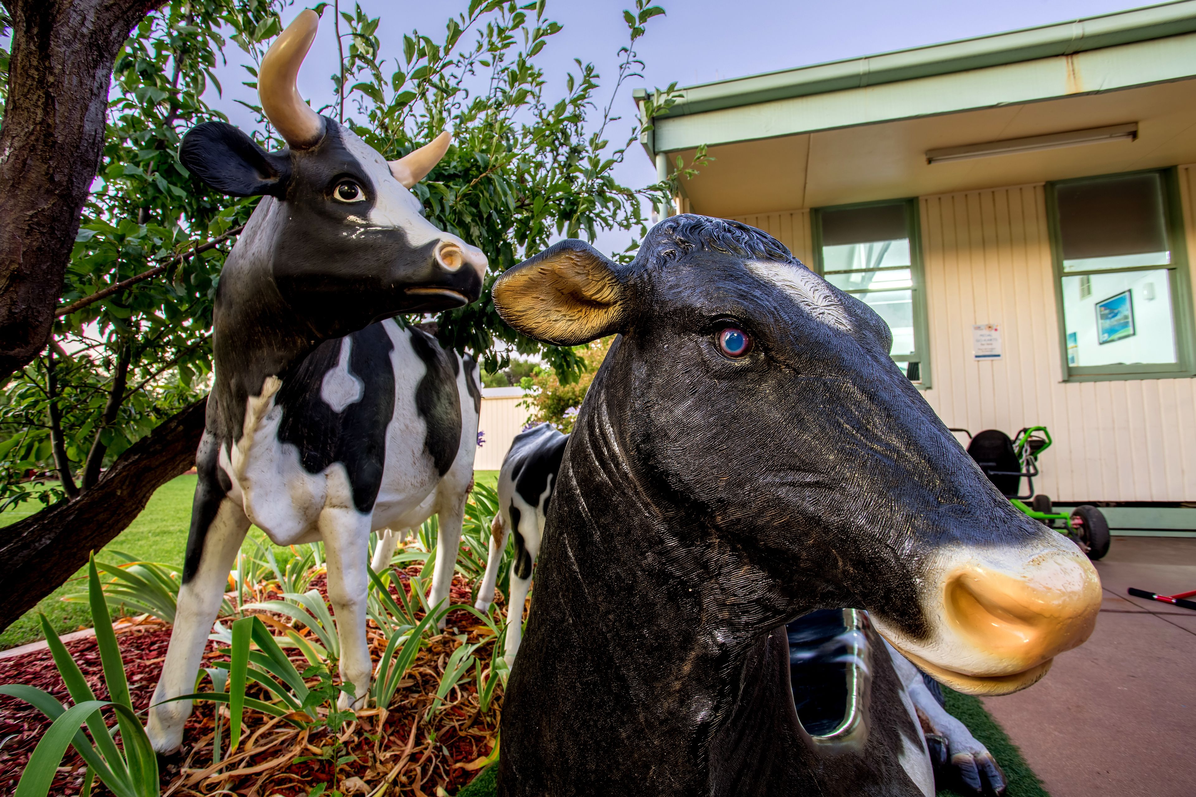 مدخل المنشأة