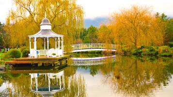 Lago