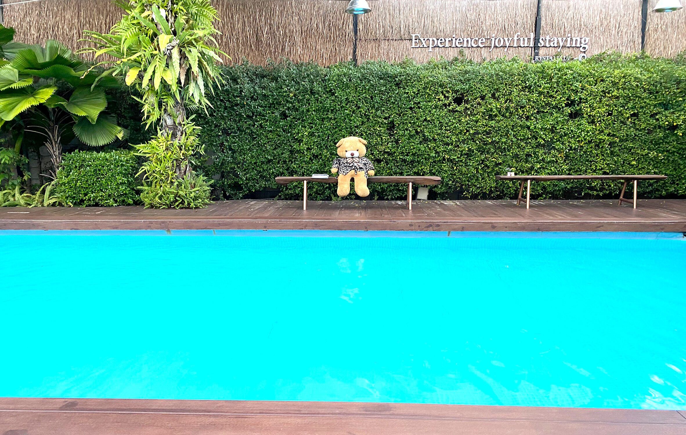 outdoor pool, pool loungers