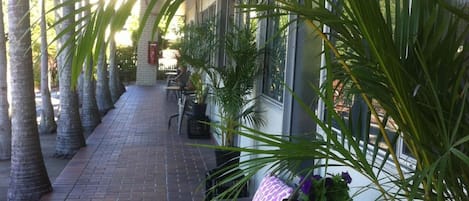 Terrein van de accommodatie