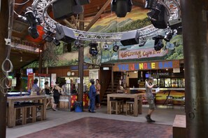 Bar (on property) - PKs Jungle Village - Hostel (Cape Tribulation)