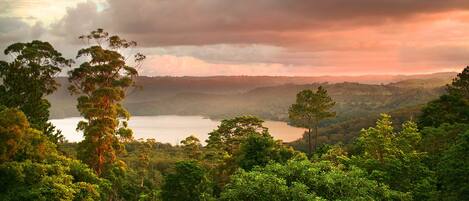 Standard-Suite, 1 Schlafzimmer, Kochnische (Lakeview Spa Cottage) | Ausblick vom Zimmer