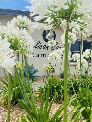 Facciata della struttura