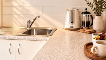 A kitchen with a stainless steel sink, a coffee maker, a French press, and a potted plant.