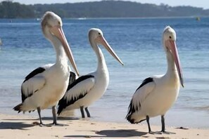 On the beach, kayaking, fishing