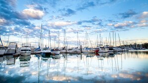 A marina with multiple sailboats docked, calm water, and a partly cloudy sky. - Manly Marina Cove Motel Brisbane (Manly)
