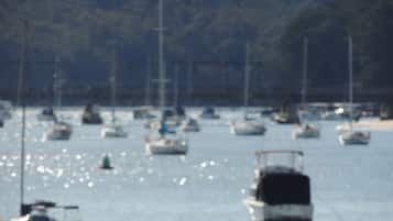 Un puerto deportivo con varias embarcaciones fondeadas en aguas tranquilas.