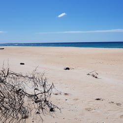 On the beach