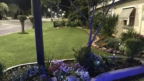 A landscaped garden area with a curved blue border, a variety of flowering plants, and a well-maintained lawn. - Kaputar Motel Narrabri (Narrabri)