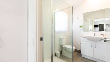 A modern bathroom with a glass shower enclosure, a toilet, and a sink with a mirror above it.