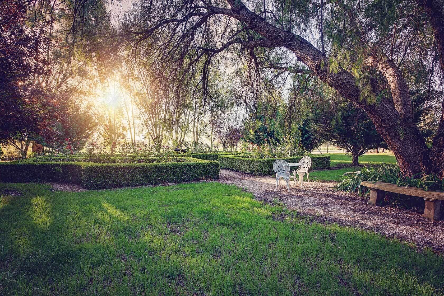Un parque con un banco y dos sillas bajo un árbol grande.