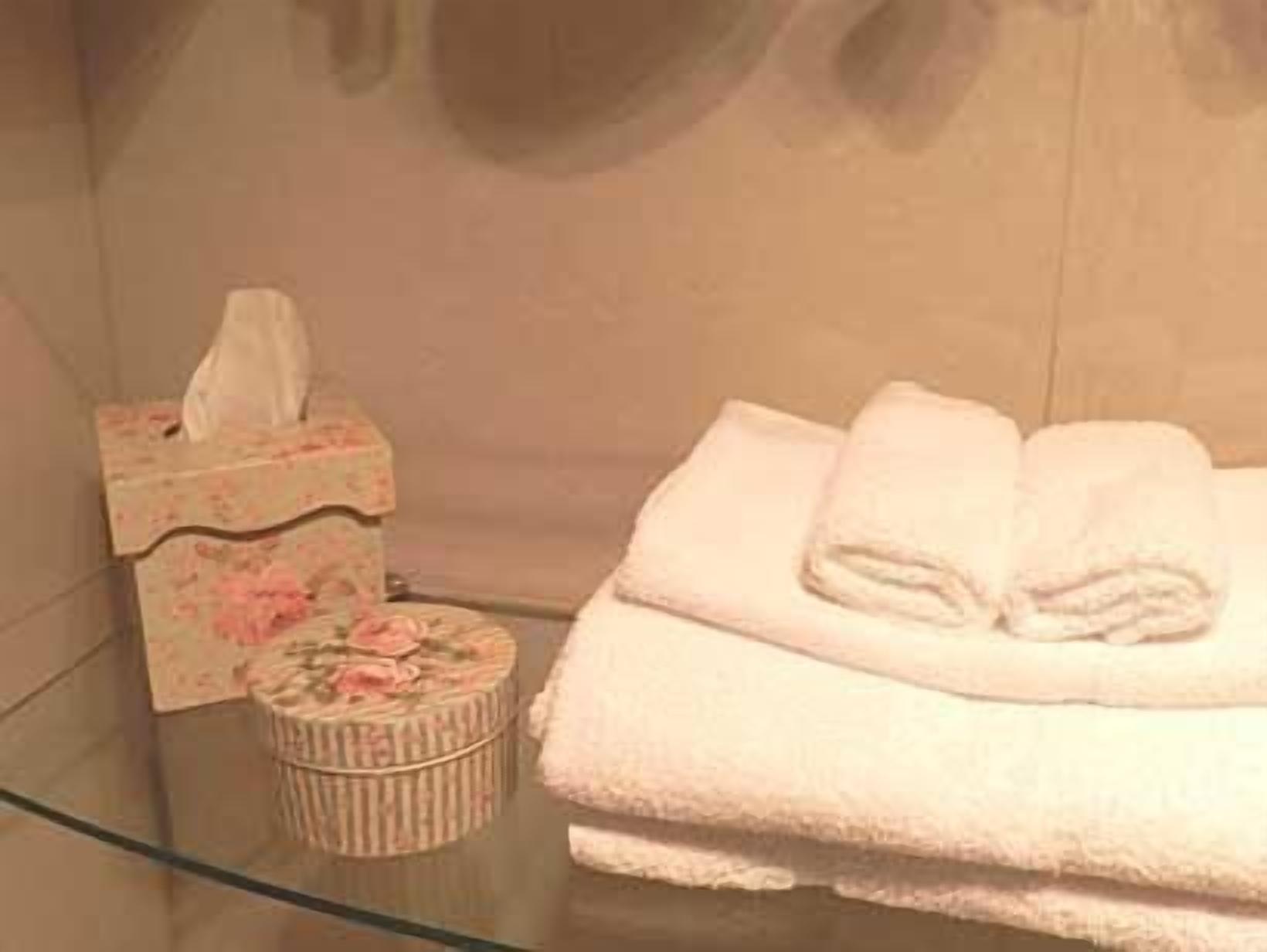 A bathroom with a glass shower enclosure, a tissue box, and neatly folded towels on a shelf.