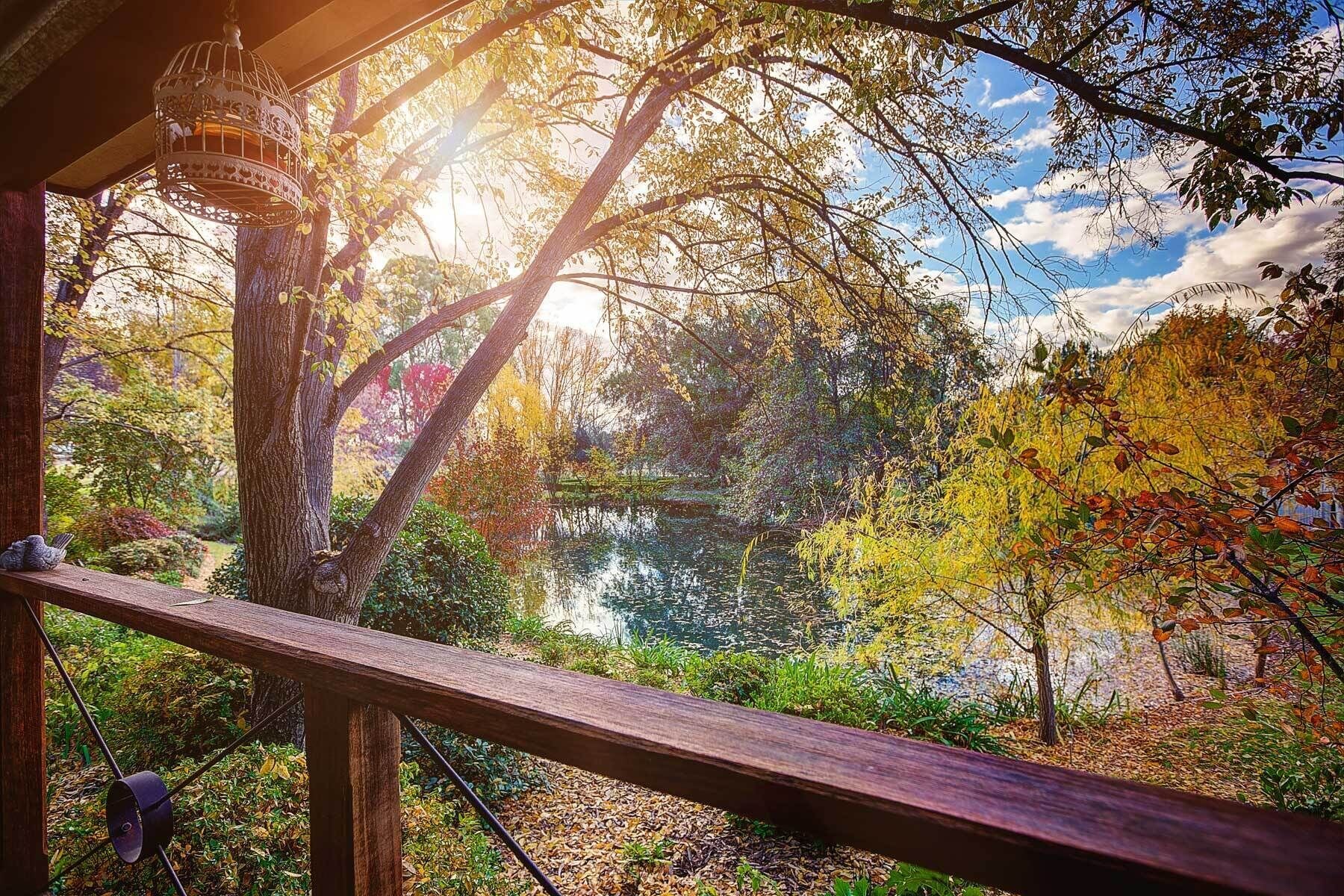 Orchard's cottage | Garden view