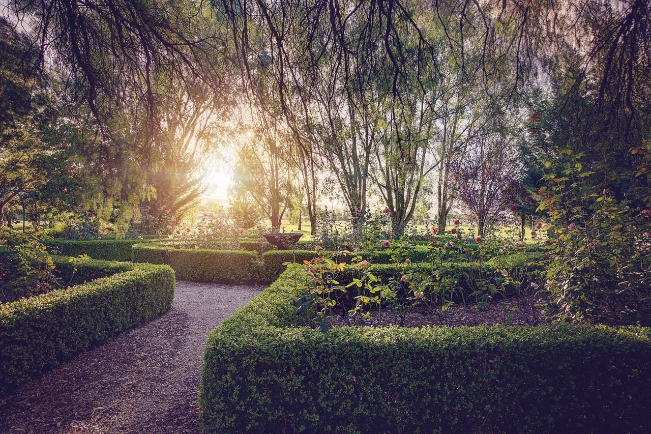 A garden pathway with neatly trimmed hedges and a variety of plants.