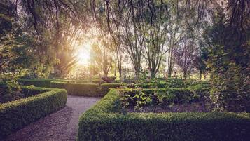 A garden pathway with neatly trimmed hedges and a variety of plants.
