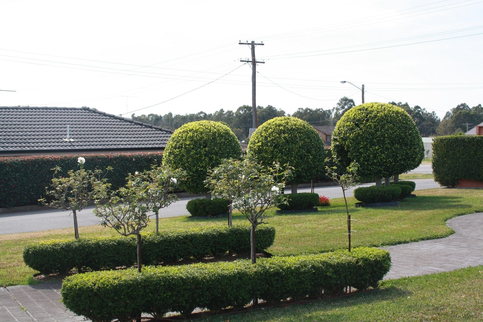 A landscaped area with neatly trimmed hedges and trees, a paved walkway, and a building with a tiled roof in the background.