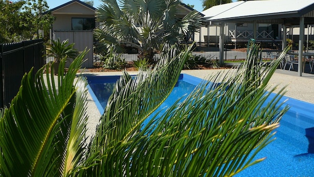 A swimming pool with surrounding palm trees and a covered patio area. - Barcaldine Country Motor Inn (Barcaldine)