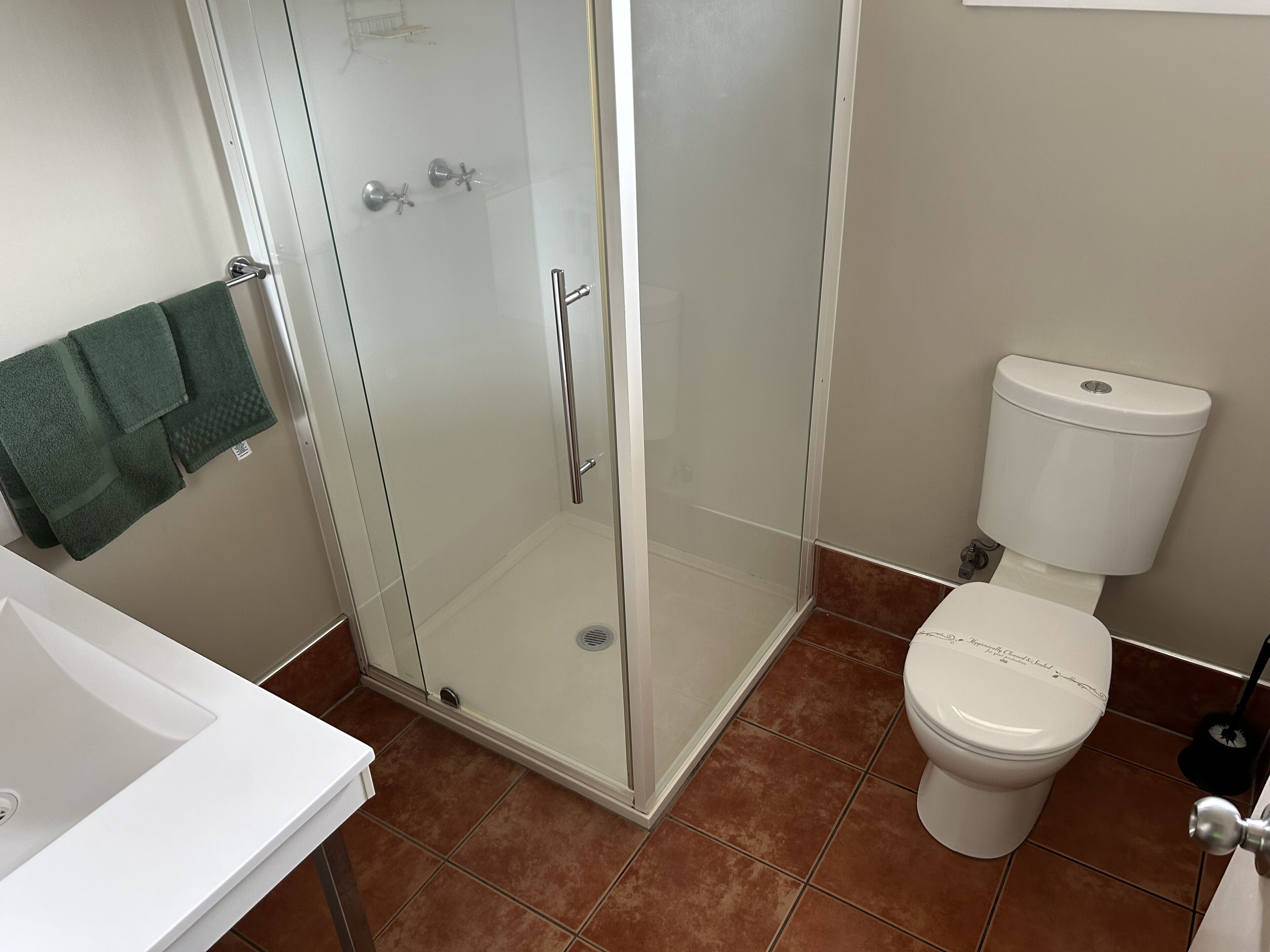 A bathroom with a glass-enclosed shower, a white toilet, and a sink.