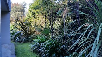 Estudio estándar | Jardín