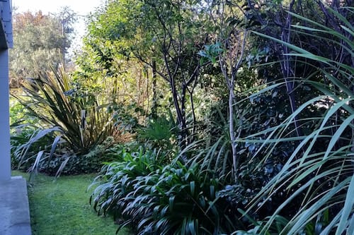 Standard Studio | Garden